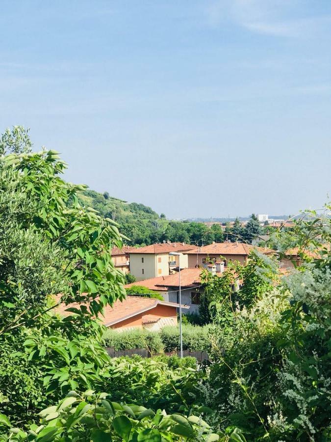 Valpolicella Homes Recioto Apartment Sant'Ambrogio di Valpolicella Eksteriør billede
